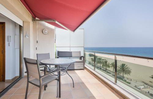 Pis Ocata - Photo 12