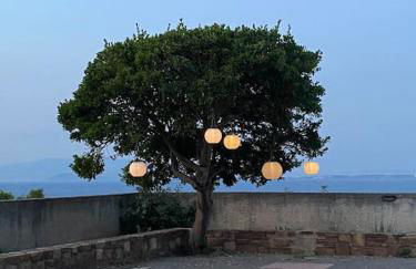 Lemon & Lavender - Photo 29