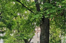 Green Apartament Żoliborz - Foto 27