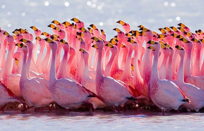 Day Trip to the Toro Lagoon - Photo 2