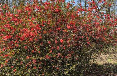 20 min Woodbury Outlet & USMA 35 min Mt Creek - Foto 13