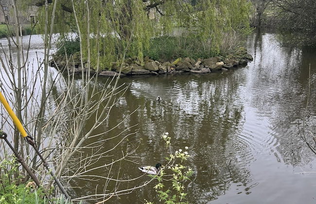 Beautiful 2-bed Cottage in Grewelthorpe , Masham - Foto 15