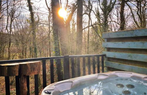 Goldcrest 1-Hot Tub-Woodland Lodges-Carmarthenshire-Tenby - Photo 12