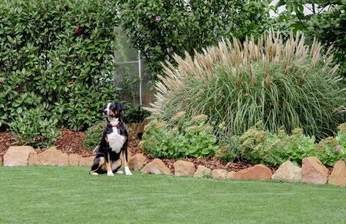 Ferienwohnung Sonnenschein - Foto 40