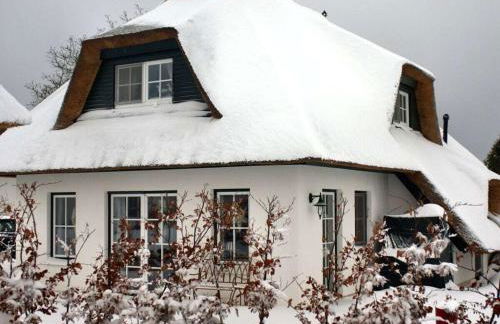 Reethus Starkikker - Foto 9