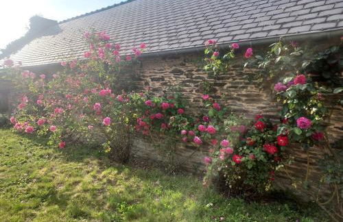 La Villa d'Armel - Foto 46