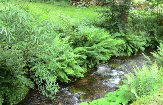 Charming Apartment, Harz Region - Foto 18