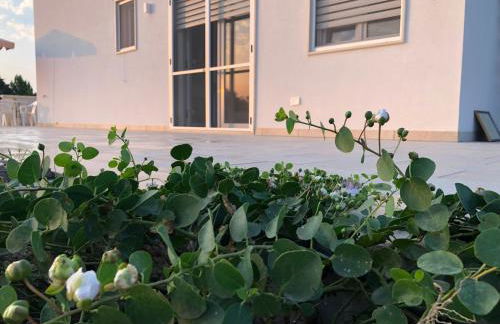 Tenuta Mare Verde - Foto 10