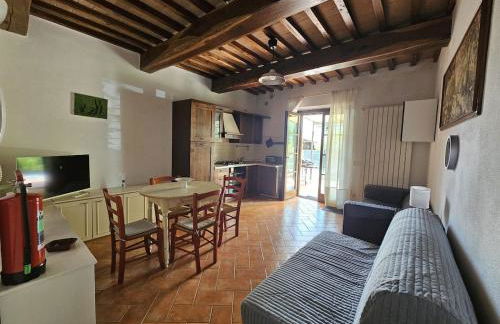 Bilocale indipendente a 10' da Pisa - Foto 11