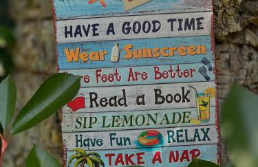 Casa da nascente douro - Foto 3