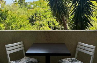 Rundinelle di Saint-Florent - Foto 1