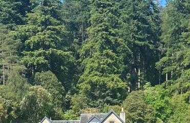 Eckford House - Foto 30