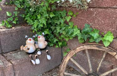 Ferienwohnung Rotbuche - Foto 30