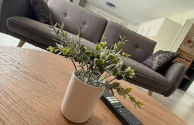 Gîte Bagatelle l'Ecrin du Ried PROCHE EUROPAPARK - Foto 22