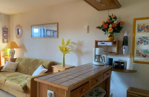 Les Lagopèdes - Charmant T2 entre lac et montagne - Foto 18