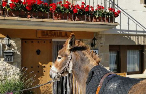 Casa Rural Basaula - Foto 36