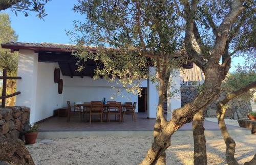 Cuile Casari - Foto 22