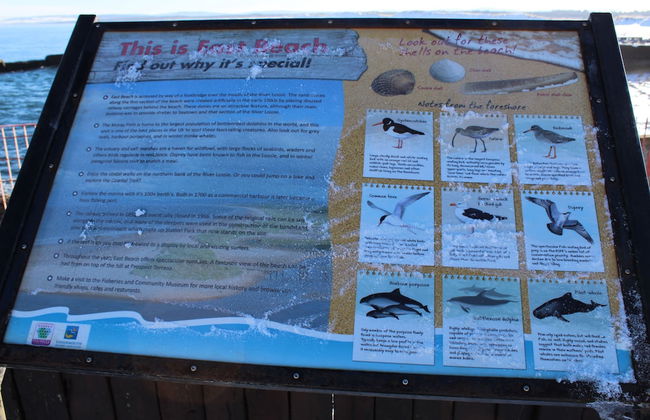 Beachfront Panoramic Seaview Free Wifi & Parking - Photo 29