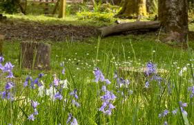 Dark Sky Retreat Perfect to Gather and Celebrate! - Foto 51