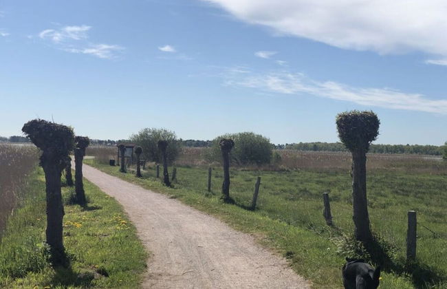 Katis Nest Comfortable Holiday Residence - Photo 7