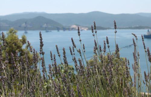 Bella Vista - Foto 45