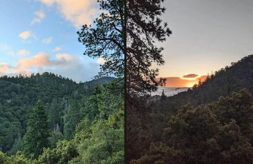 Spectacular Designer Treehouse with Mountain Views - Foto 44