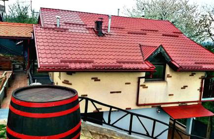 Kuća sa apartmanima Šemnica - za odmor i proslave! - Photo 13