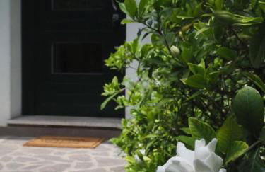 Le Gardenie di Tito - Foto 8