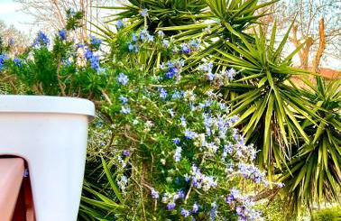 CivicoNove - Foto 17