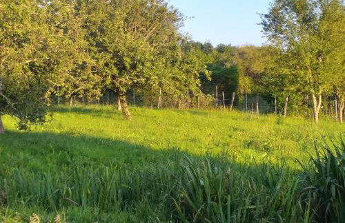 Les Volets Verts, ROUSSINES, CHARENTE, 16310 FRANCE - Foto 65