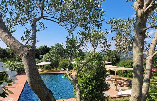 Agriturismo TerraMadre - Foto 43