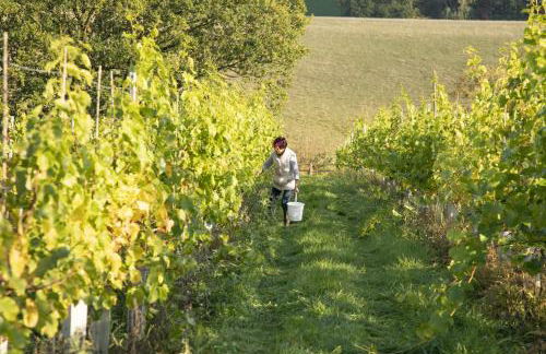 Meadow Byre - Foto 15