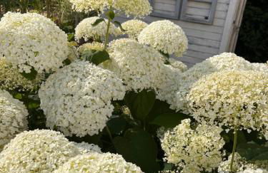 Apartment KURZ VOR BERLIN - Foto 45