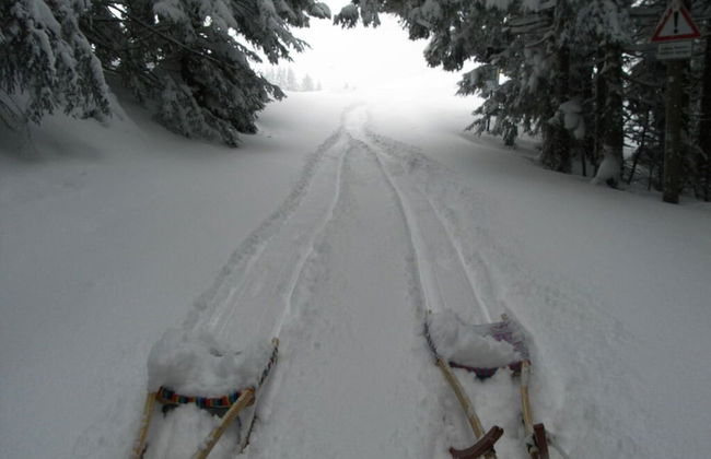 Bodenschneid Suites \"wallbergblick\" - Photo 25