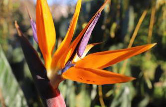 Casa do Quintalão - Foto 20