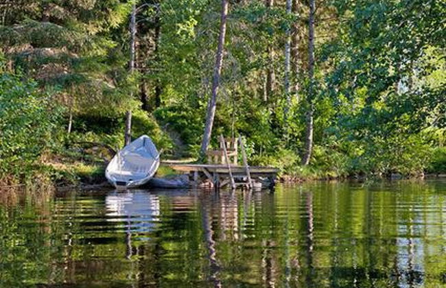 Metsäpirtti - Foto 3