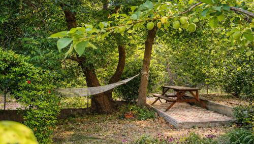 Sunshine Home - Peaceful Garden Escape & Parking - Foto 2, Garden, Garden view