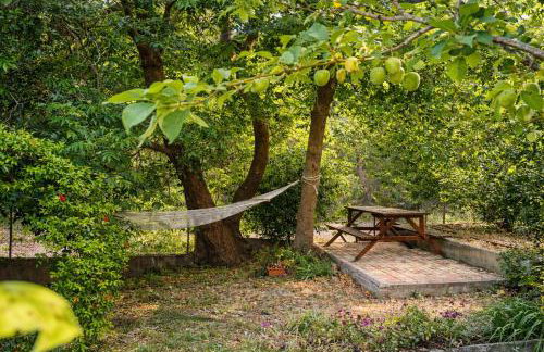 Sunshine Home - Peaceful Garden Escape & Parking - Foto 2