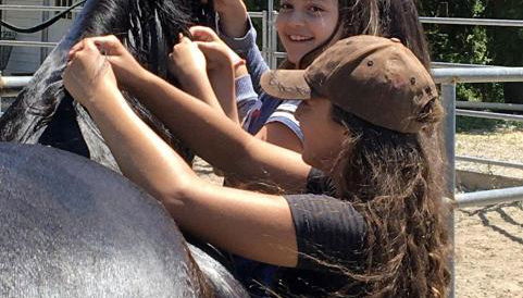 Cozy Rustic Cabin on a Working Horse Ranch for a Unique Getaway in Granite Bay, California - Foto 2