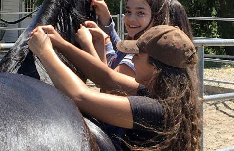 Cozy Rustic Cabin on a Working Horse Ranch for a Unique Getaway in Granite Bay, California - Foto 2