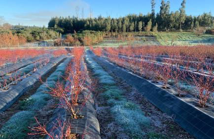 Quinta Vale Salgueiro - Foto 31