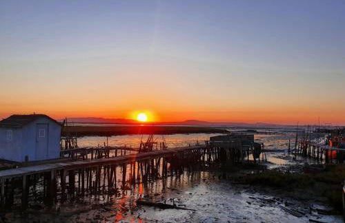 Little Suite - Foto 5