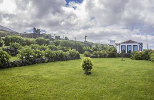 Casa da Serreta by PontaNegraAzores - Photo 62