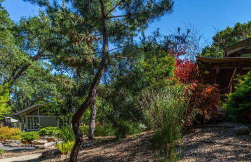 10 Acre Estate with Views Teahouse and Pickleball Court - Foto 72