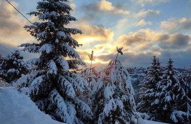 Le chalet de Rothenbuhl - Photo 29