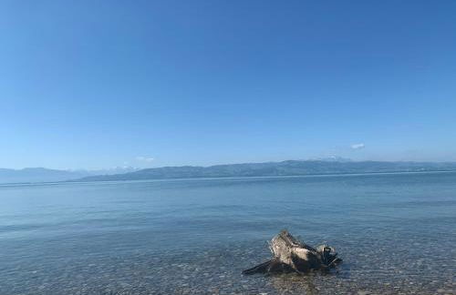 Hopfenglück - Foto 52