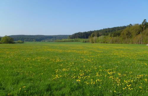 FeWo Ulbrich Langenstadt - Foto 32
