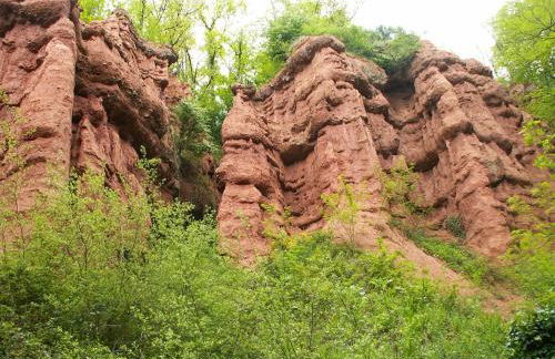 Maison de campagne occitanie - Photo 14