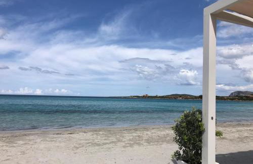 La tartaruga - Photo 24