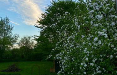 Ferienwohnung im Grünen - Foto 9